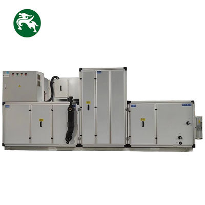 Deumidificatore OEM ODM Rotativo Deumidificatore Outdoor Installazione per fabbrica di pesce