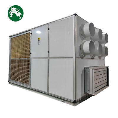 Unità DX integrata di deumidificazione a temperatura costante raffreddata ad aria sul tetto per batteria al litio