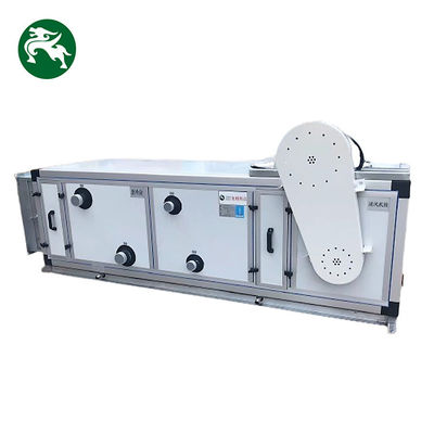 1000 2000 3000CMH Deumidificatore ad alta temperatura