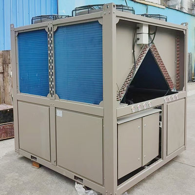 Chiller a raffreddamento naturale personalizzato risparmio energetico raffreddato ad aria a vite equipaggiamento di refrigerazione a doppio uso